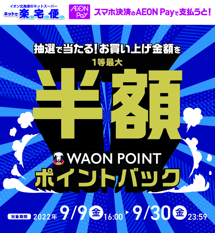 スマホ決済のAEON Payで支払うと抽選で当たる！お買い上げ金額を1等最大半額ポイントバック