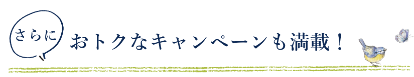 さらに！おトクなキャンペーンも満載！