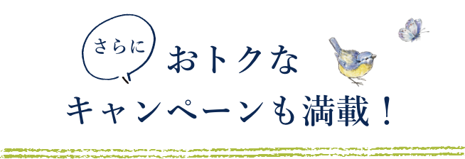 さらに！おトクなキャンペーンも満載！