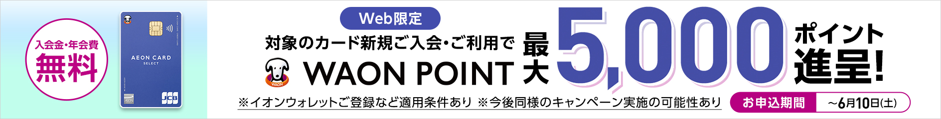 対象カード新規ご入会・ご利用抽選でWAON POINT進呈！