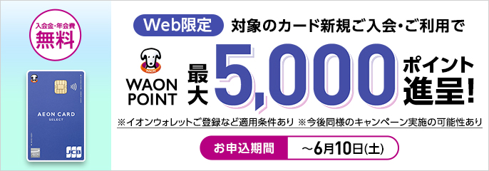 対象カード新規ご入会・ご利用抽選でWAON POINT進呈！