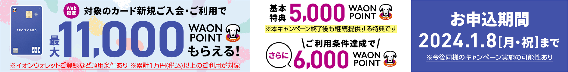 対象カード新規ご入会・ご利用抽選で最大31,000 WAON POINT進呈！